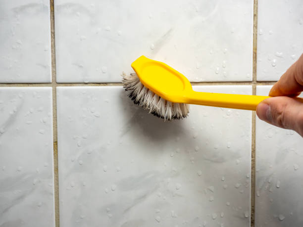 Best Best Mold Removal Companies  in Neodesha, KS