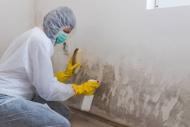 Best Mold Cleaning Services  in Neodesha, KS