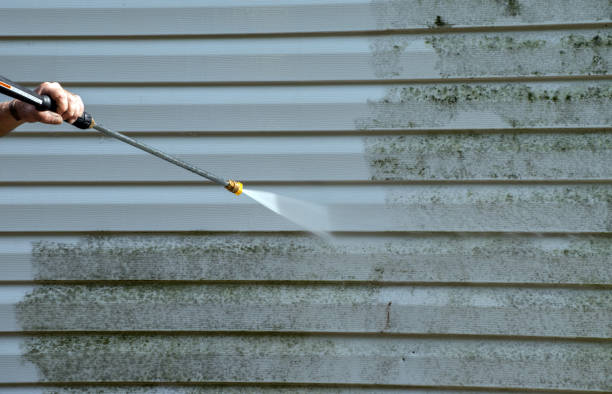 Certified Mold Removal in Neodesha, KS