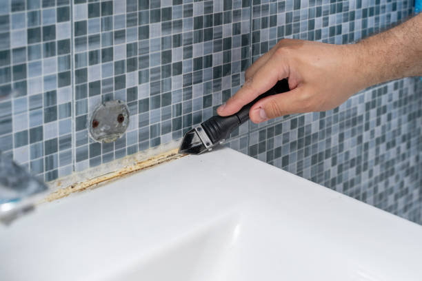 Best Certified Mold Removal  in Neodesha, KS