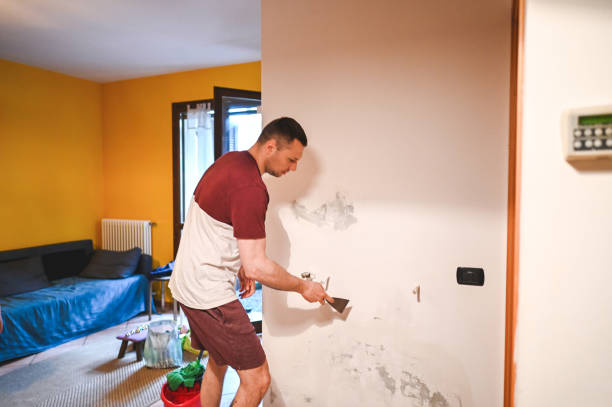 Best Best Mold Removal Companies  in Neodesha, KS